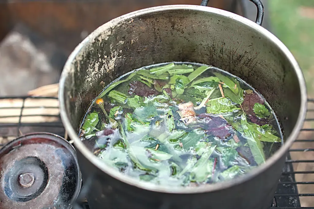 Ayahuasca-medicine-being-brewed-Source