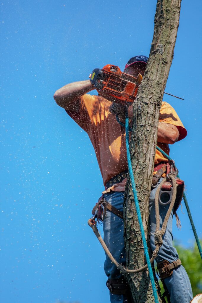 Chainsaws aren’t exactly the quietest of power tools, are they?