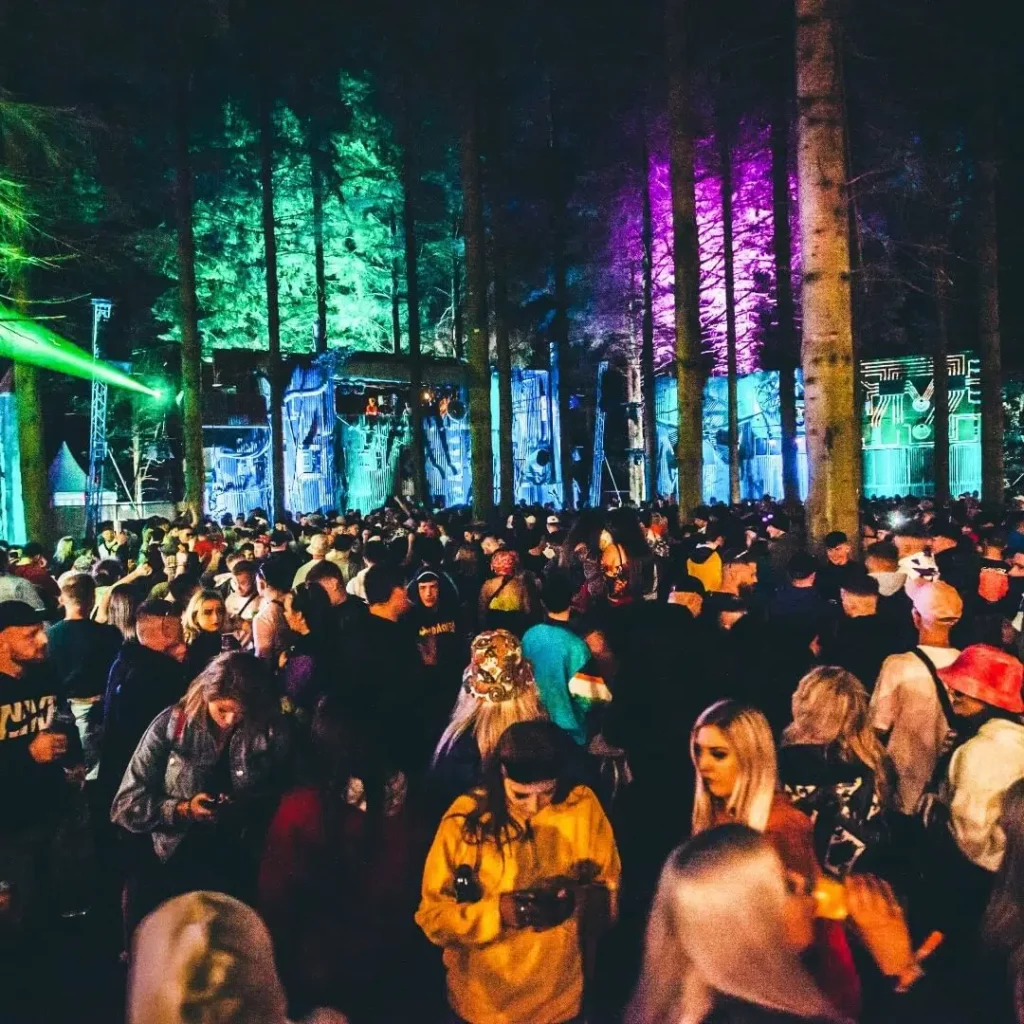 electric-picnic-woods-rave