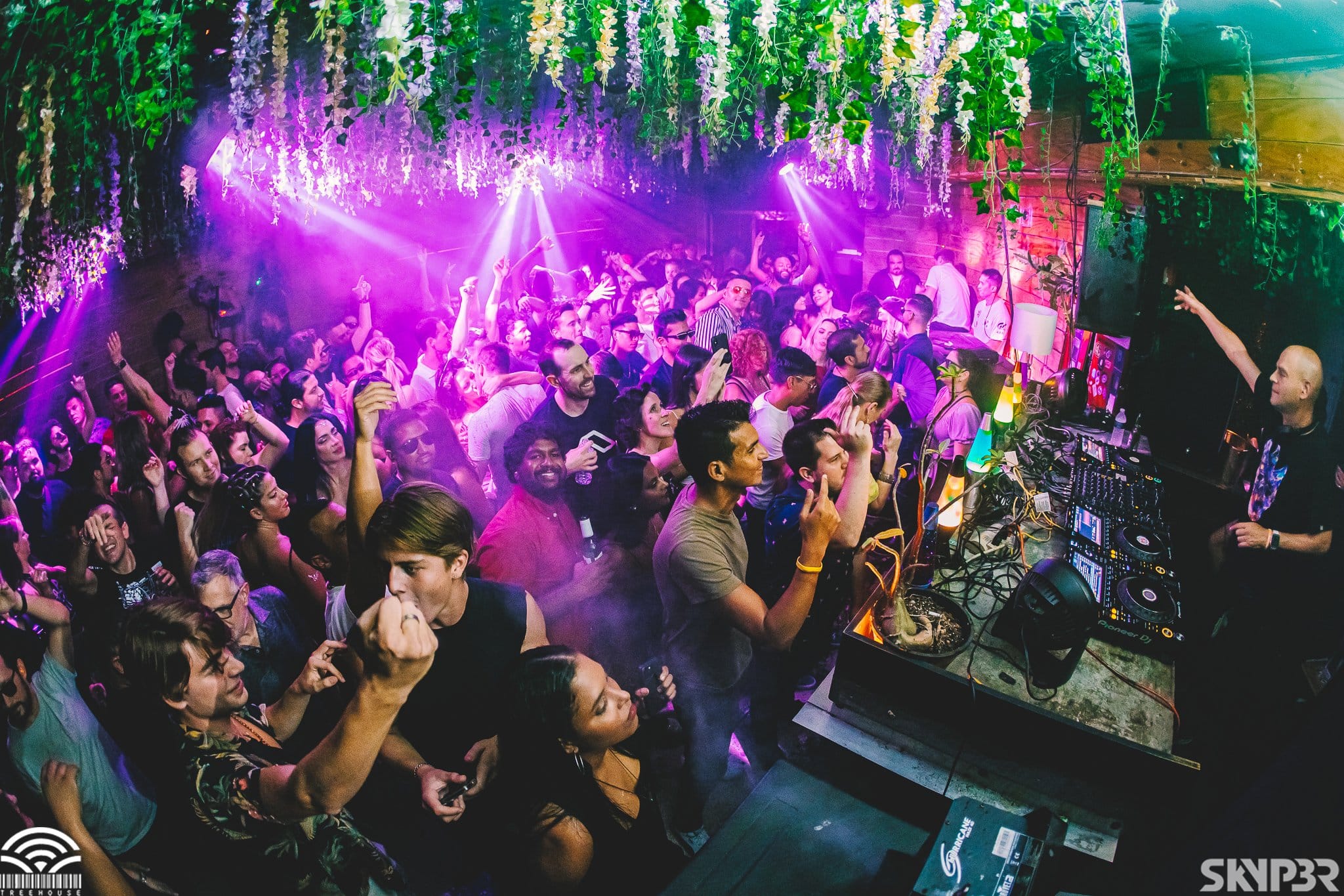 people-partying-inside-treehouse-miami