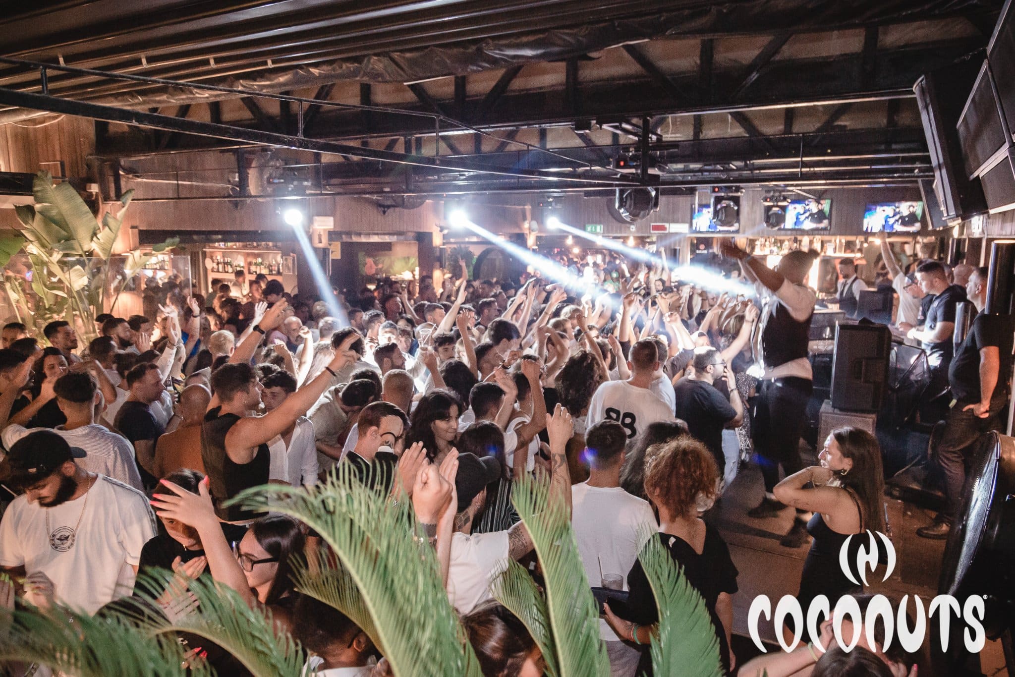 party at Coconuts Riccione